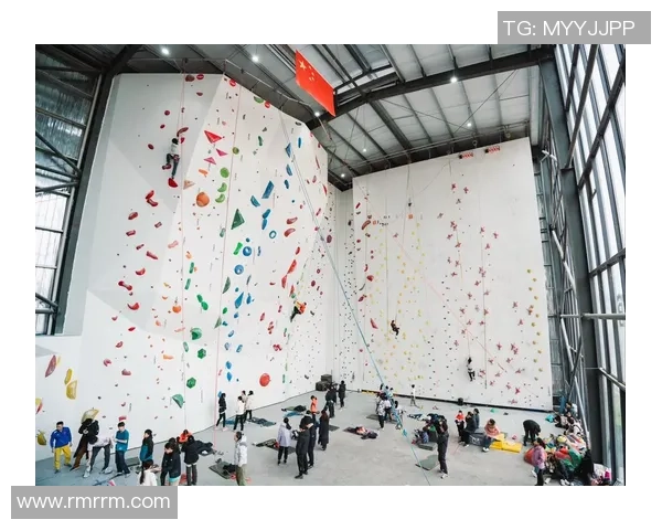 南京攀岩队成员个人能力深度对比与分析探索